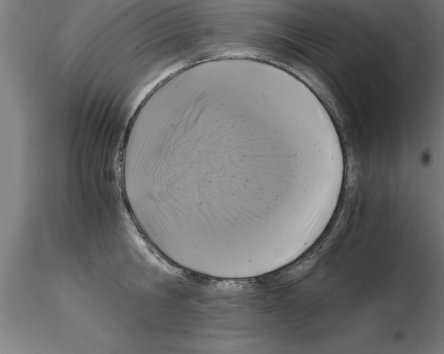 X0000115280806200912111225