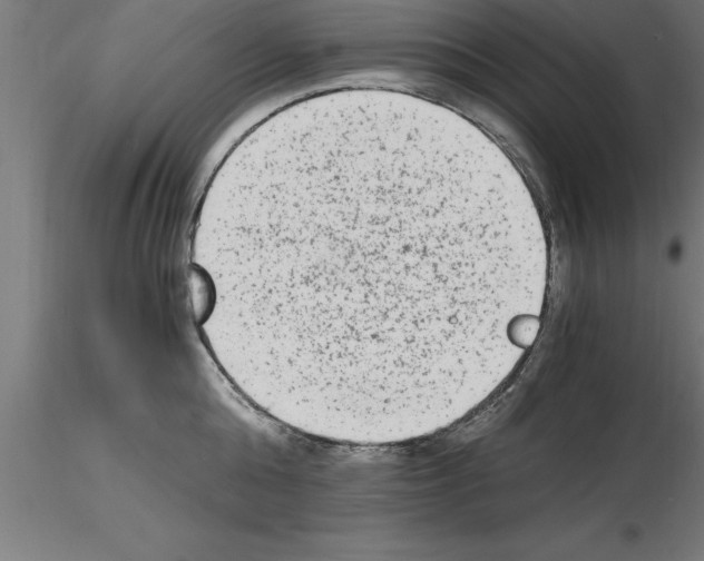 X0000115280808200912111225