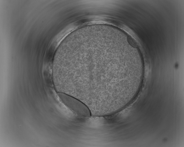 X0000115280809200912111225