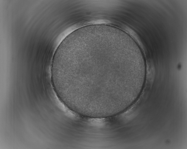 X0000115280810200912111225