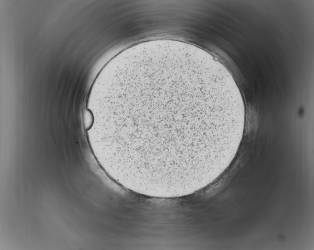 X0000115280812200912111225