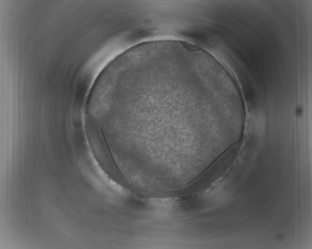 X0000115280813200912111225