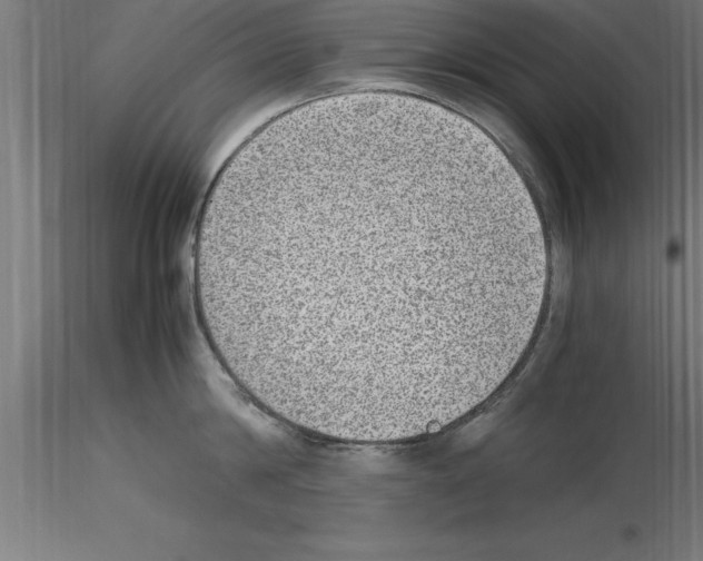 X0000115280814200912111225