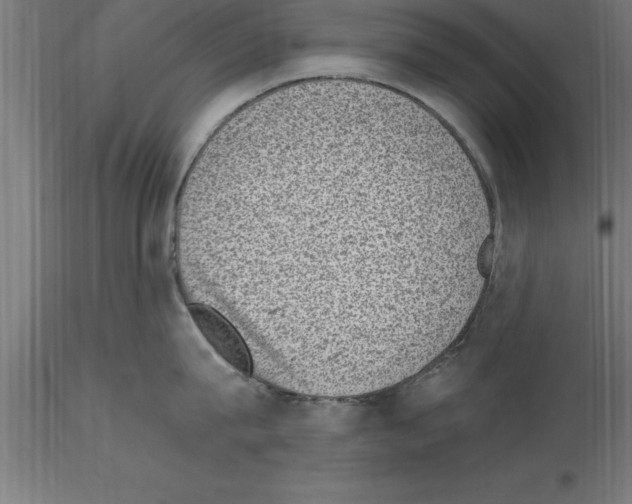 X0000115280815200912111225