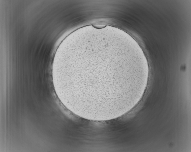 X0000115280816200912111225