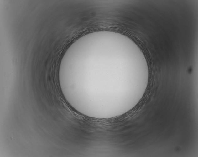 X0000115280817200912111224