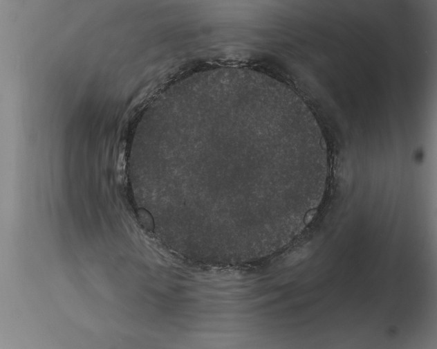 X0000115280818200912111224