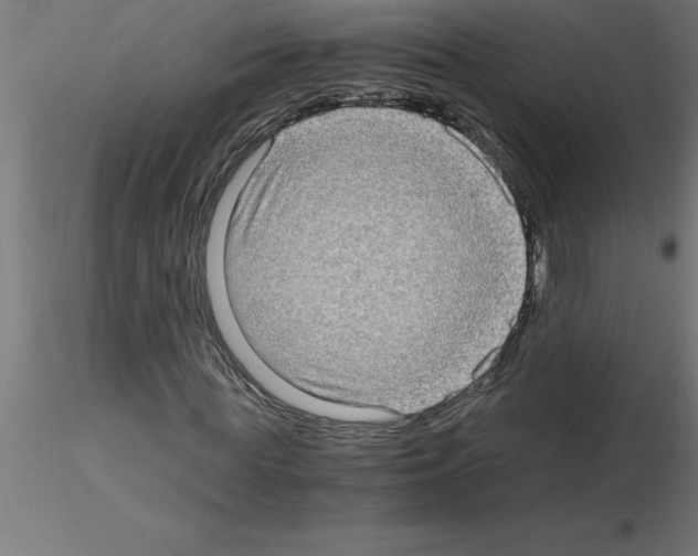 X0000115280819200912111224