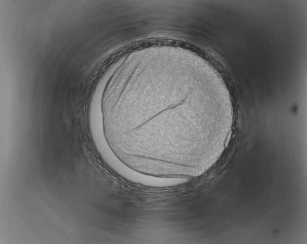 X0000115280821200912111224