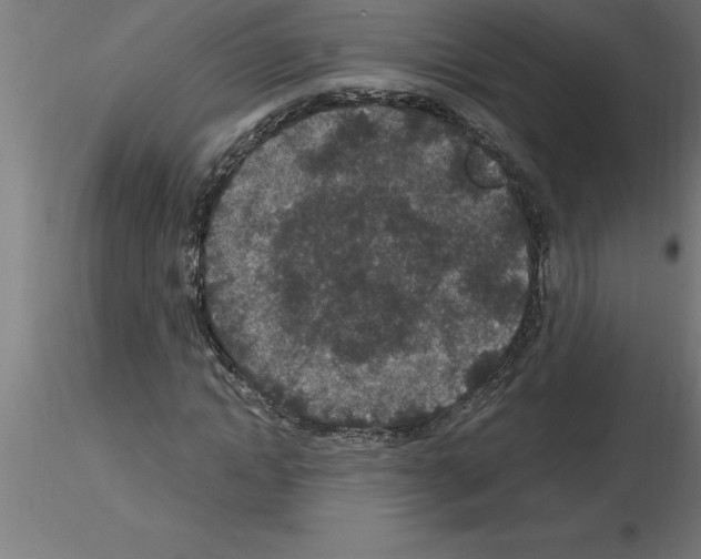 X0000115280822200912111224