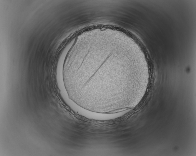 X0000115280823200912111224