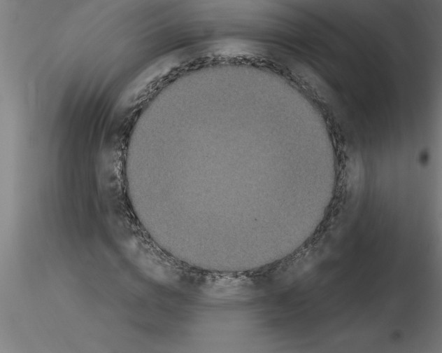 X0000115280824200912111224