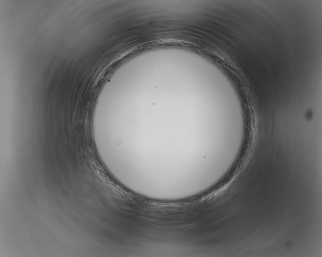 X0000115280825200912111224