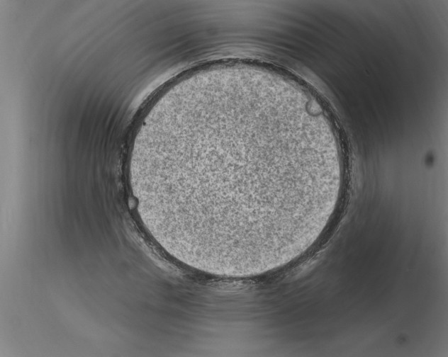 X0000115280826200912111224