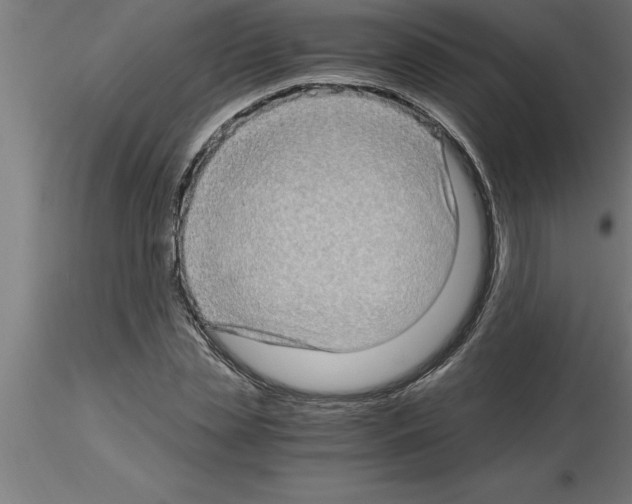 X0000115280829200912111224