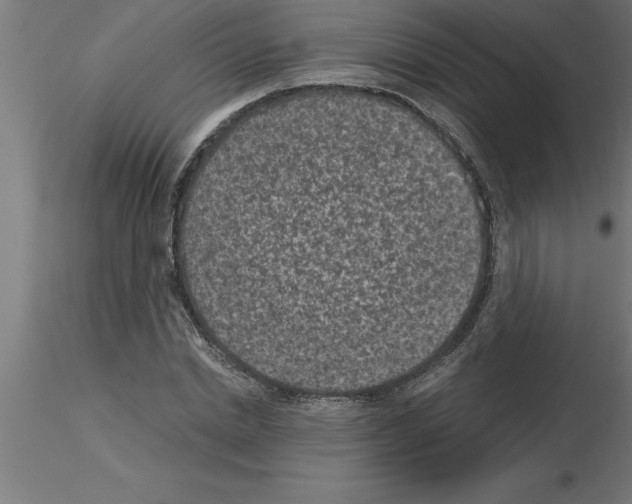 X0000115280830200912111224