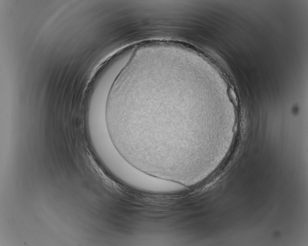 X0000115280831200912111224