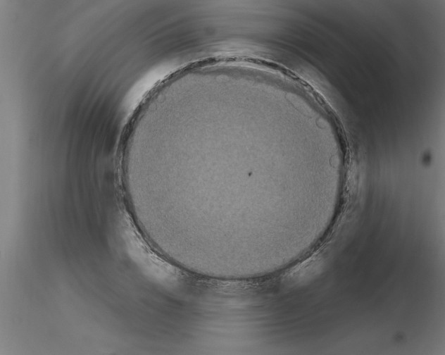 X0000115280832200912111224