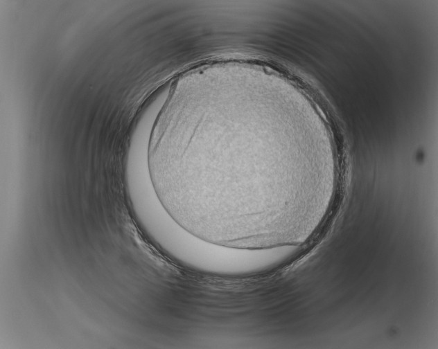 X0000115280833200912111224