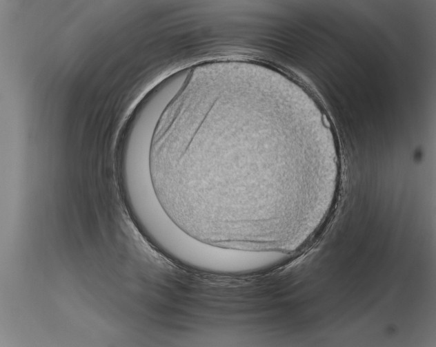 X0000115280835200912111224