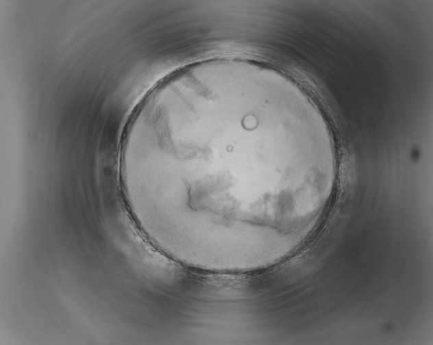 X0000115280836200912111224