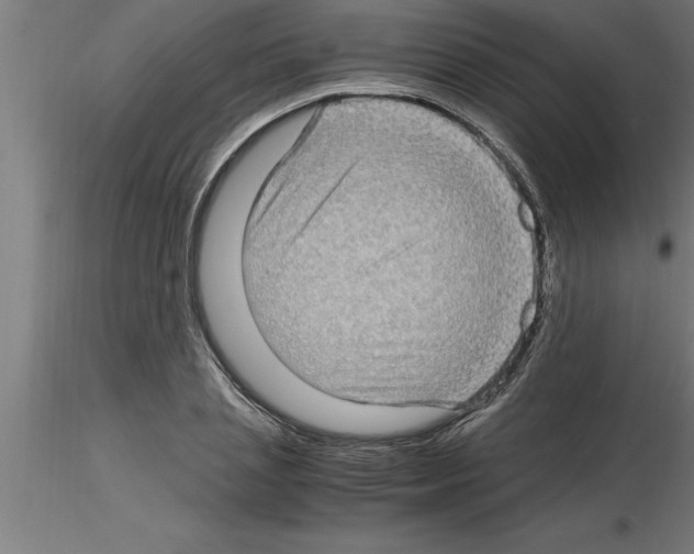 X0000115280837200912111224