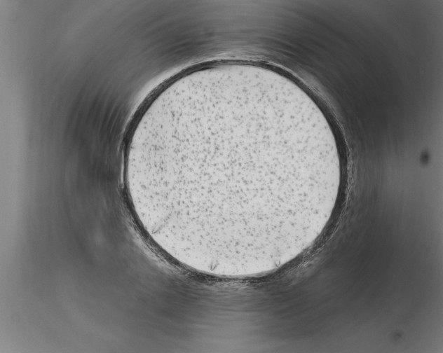 X0000115280838200912111224