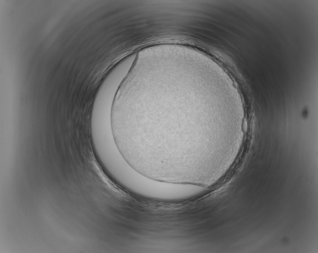 X0000115280841200912111224