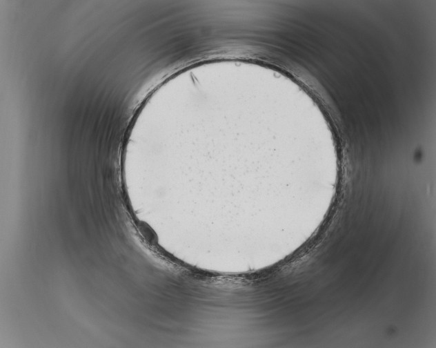 X0000115280842200912111224