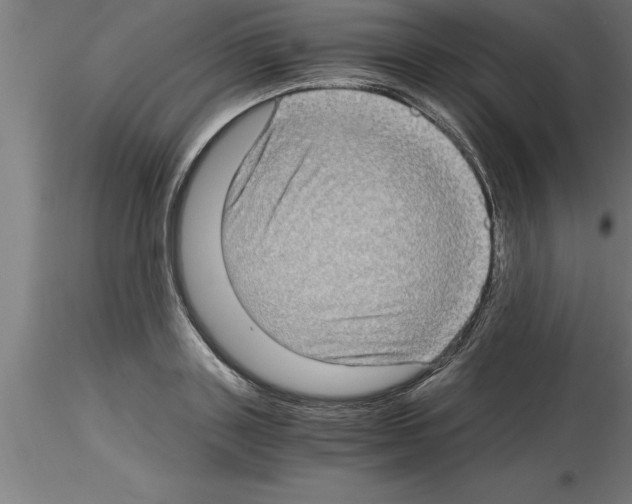 X0000115280843200912111224