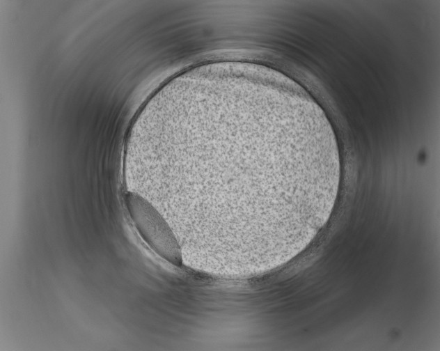 X0000115280844200912111224