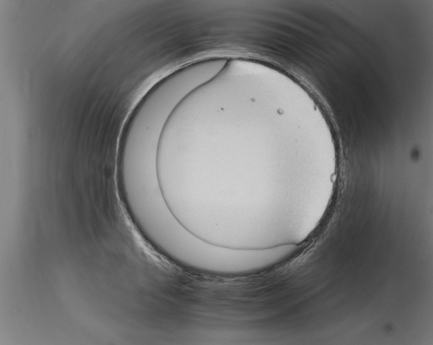 X0000115280845200912111224