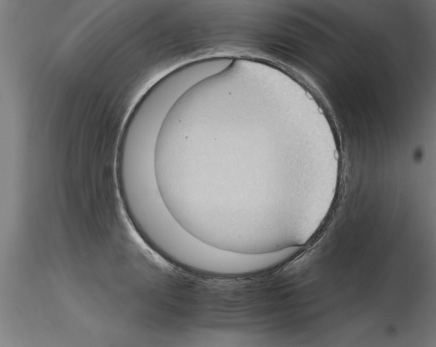 X0000115280847200912111224