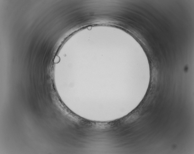 X0000115280848200912111224