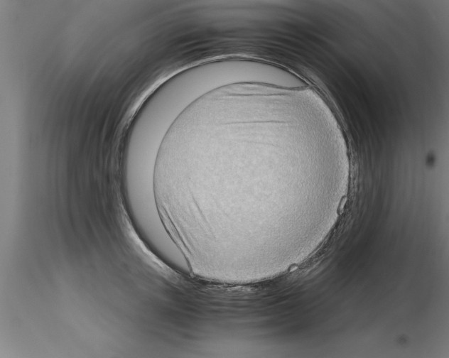 X0000115280851200912111224