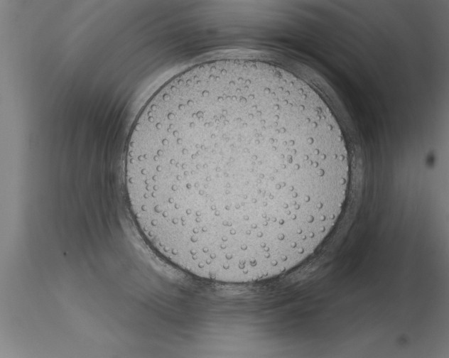 X0000115280852200912111224