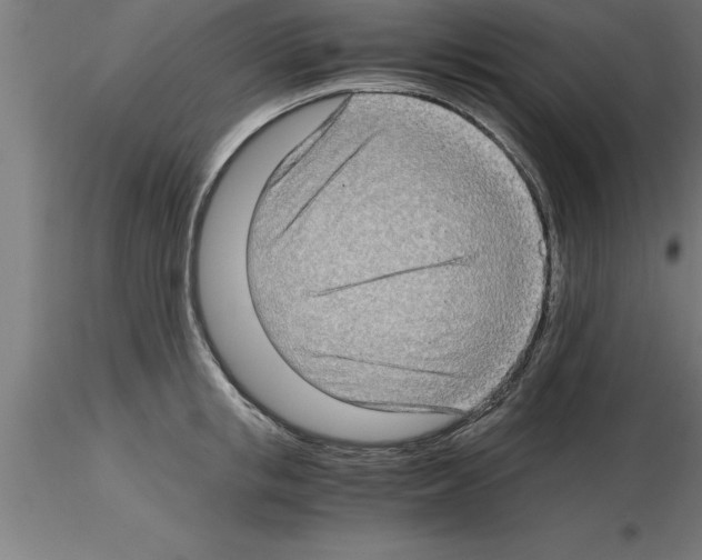 X0000115280853200912111224