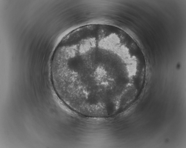 X0000115280854200912111224