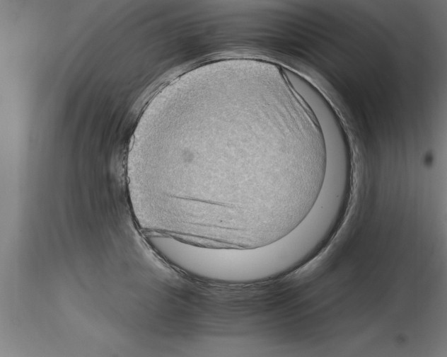 X0000115280857200912111224