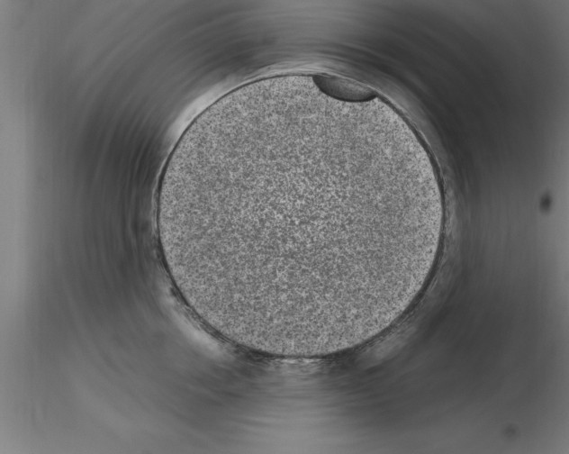 X0000115280858200912111224