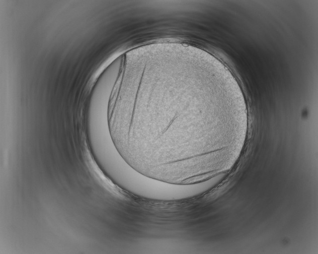 X0000115280859200912111225