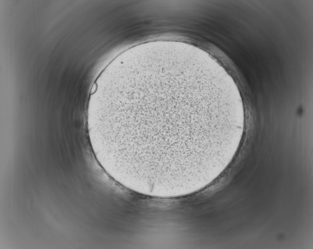 X0000115280860200912111225