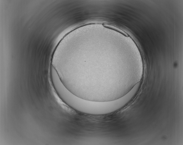 X0000115280861200912111225