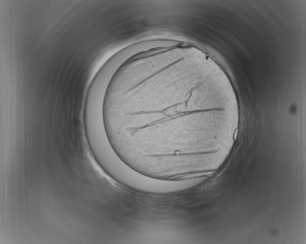 X0000115280863200912111225