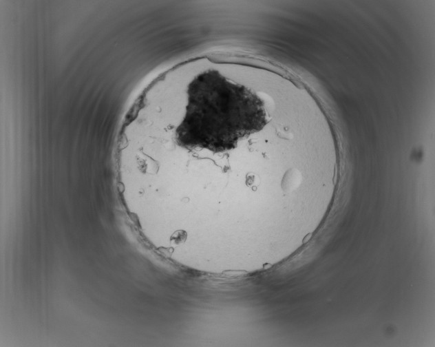 X0000115280864200912111225