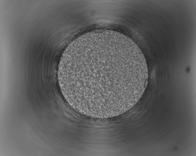 X0000115280868200912111224