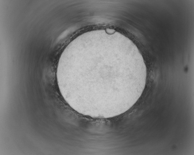 X0000115280869200912111224