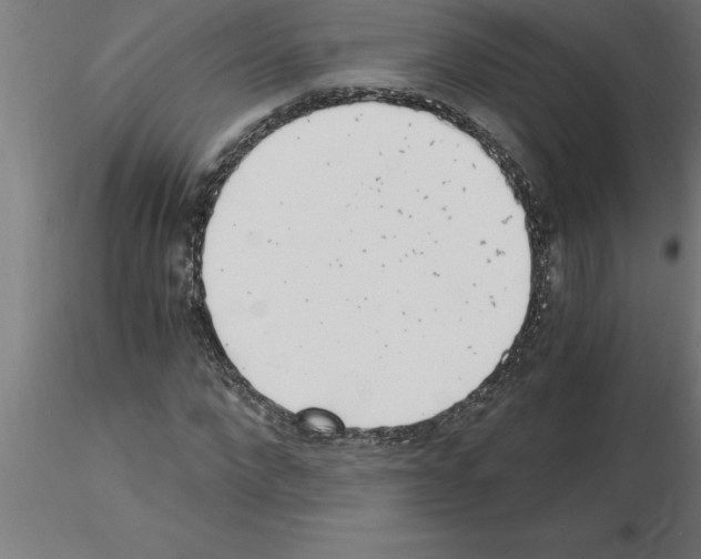 X0000115280872200912111224