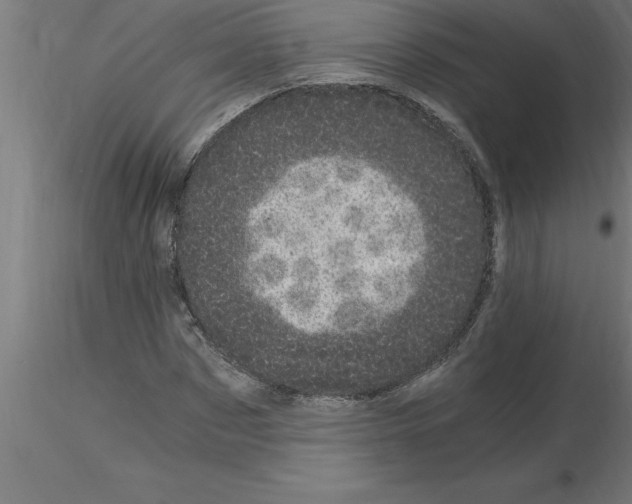 X0000115280873200912111224