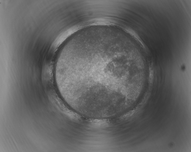 X0000115280874200912111224